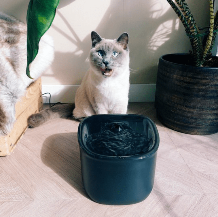 Pettadore Hydrate Lite drinkfontein voor katten en honden